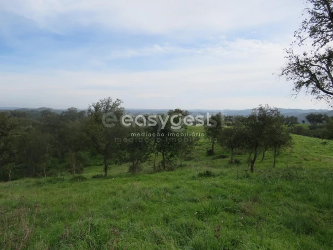 Quinta T10 para Venda em São Luis Foto 41