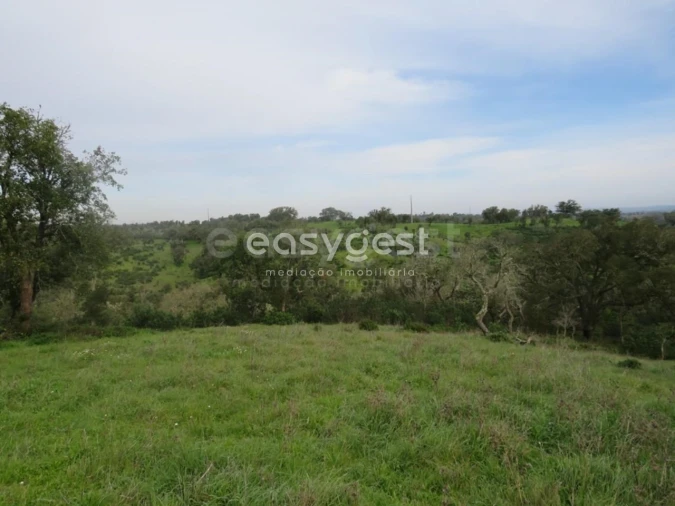 Quinta T10 para Venda em São Luis Foto 40