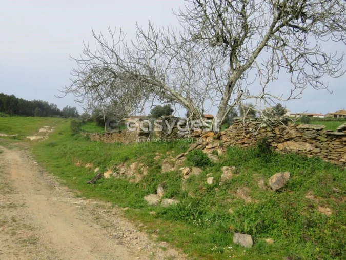 Quinta T10 para Venda em São Luis Foto 42