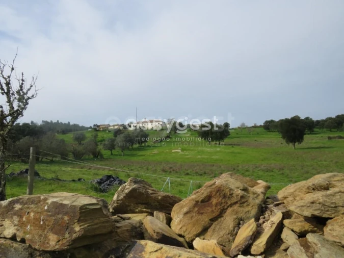Quinta T10 para Venda em São Luis Foto 44
