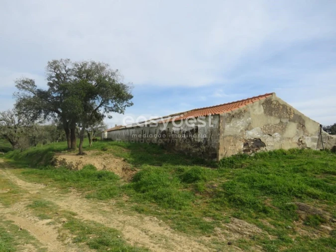 Quinta T10 para Venda em São Luis Foto 45