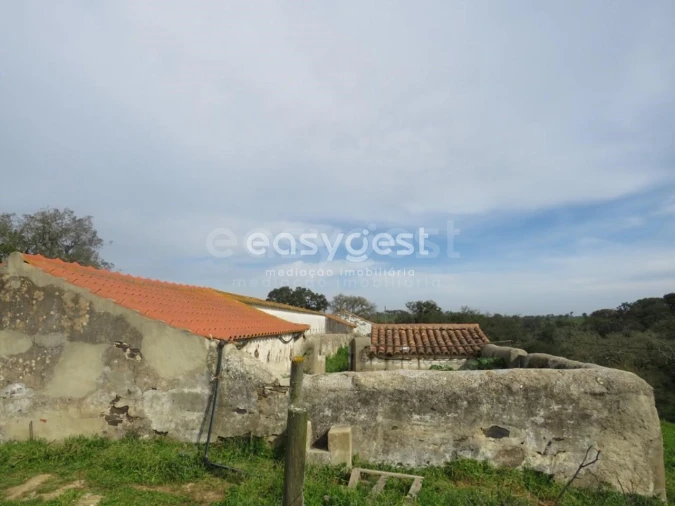Quinta T10 para Venda em São Luis Foto 48