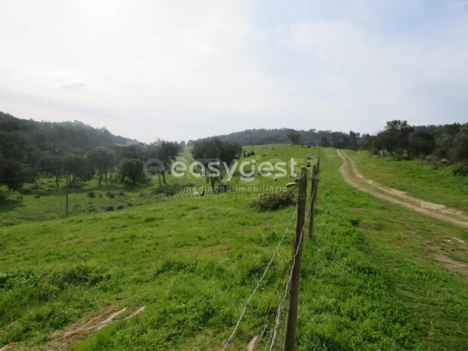 Quinta T10 para Venda em São Luis Foto 47