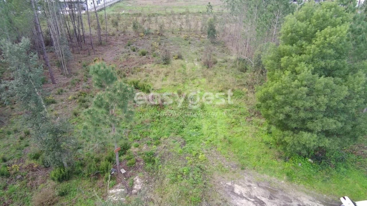Terreno para Venda em Pataias e Martingança Foto 3