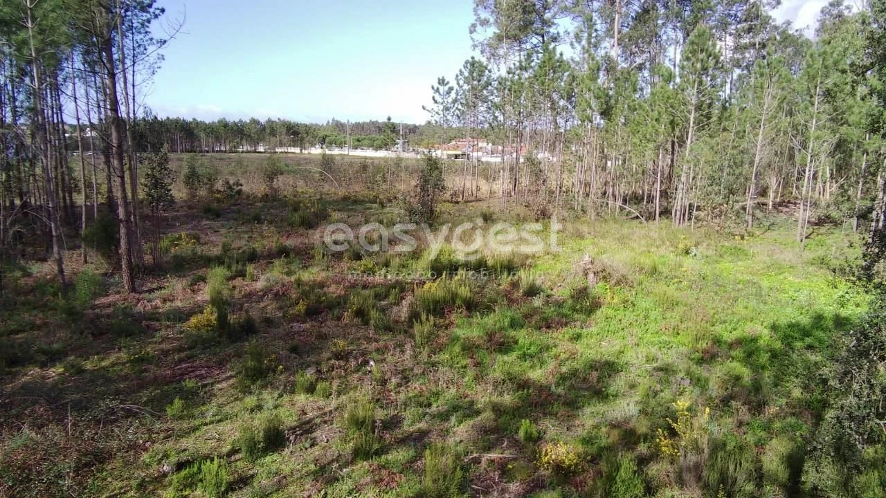 Terreno para Venda em Pataias e Martingança Foto 8