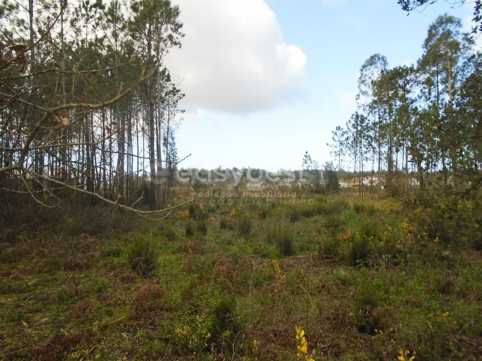 Terreno para Venda em Pataias e Martingança Foto 13