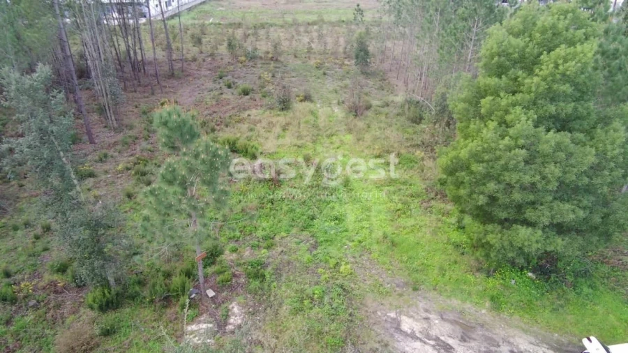 Terreno para Venda em Pataias e Martingança Foto 3