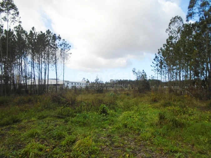 Terreno para Venda em Pataias e Martingança Foto 12