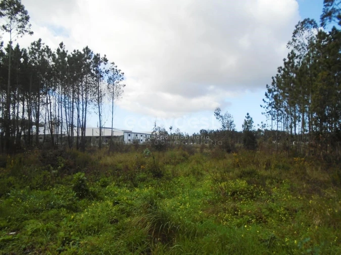 Terreno para Venda em Pataias e Martingança Foto 16