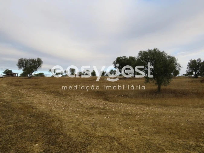 Terreno Agricola ou Rústico para Venda em Aljustrel e Rio de Moinhos Foto 3