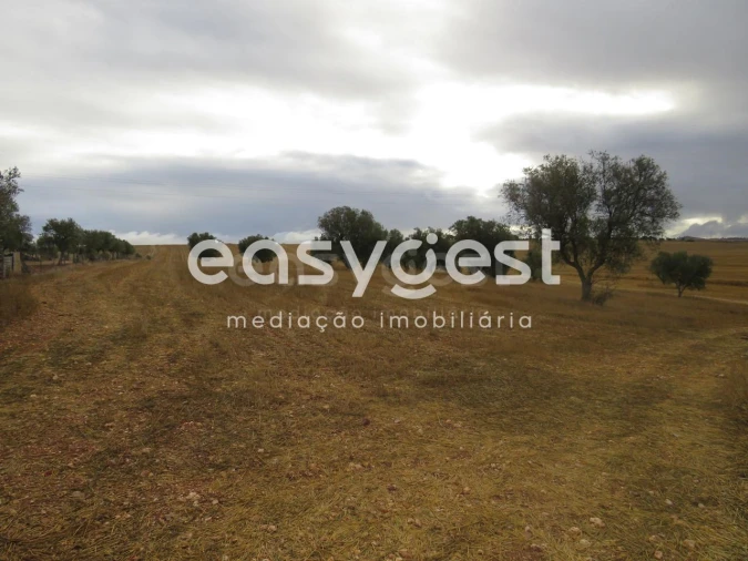 Terreno Agricola ou Rústico para Venda em Aljustrel e Rio de Moinhos Foto 8