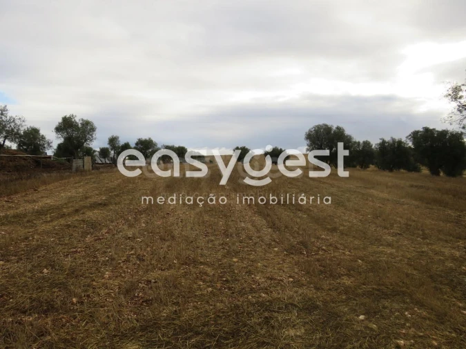 Terreno Agricola ou Rústico para Venda em Aljustrel e Rio de Moinhos Foto 9