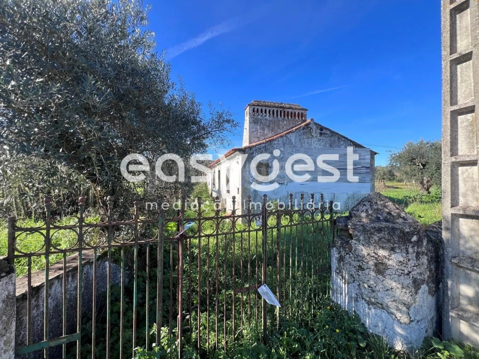 Terreno Misto para Venda em Abrantes (São Vicente e São João) e Alferrarede Foto 20