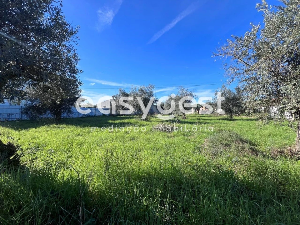Terreno Misto para Venda em Abrantes (São Vicente e São João) e Alferrarede Foto 22