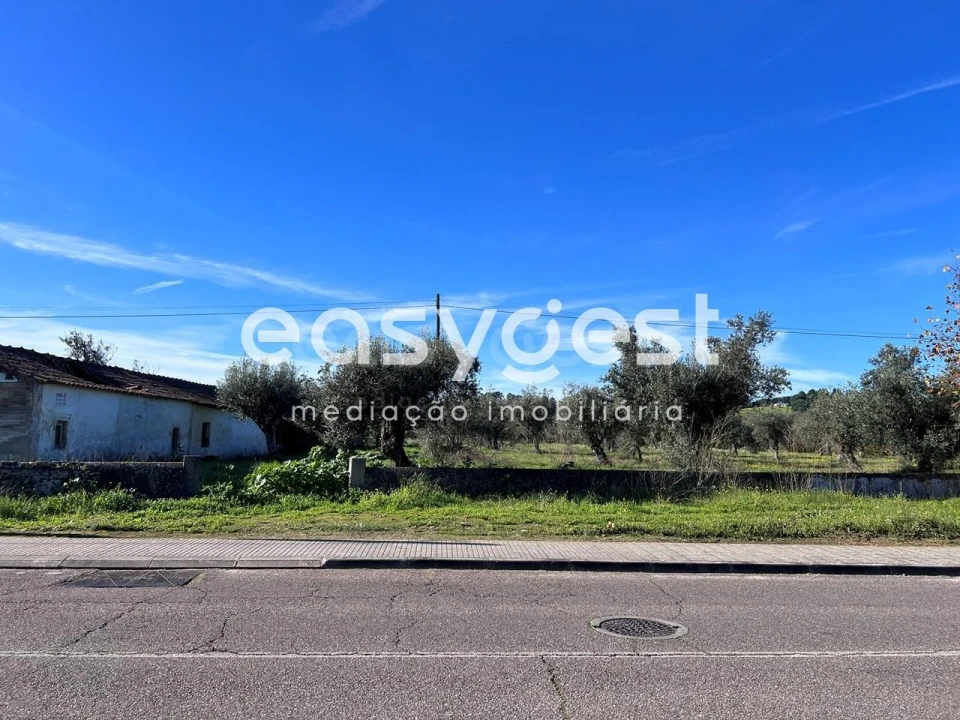 Terreno Misto para Venda em Abrantes (São Vicente e São João) e Alferrarede Foto 23