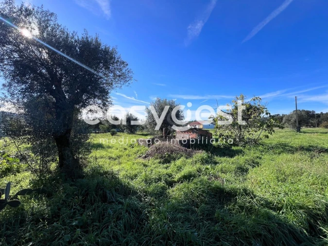 Terreno Misto para Venda em Abrantes (São Vicente e São João) e Alferrarede Foto 18