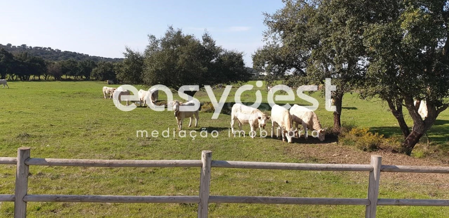 Moradia T4 para Venda em Cuba Foto 28