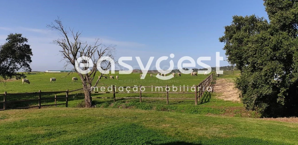 Moradia T4 para Venda em Cuba Foto 33