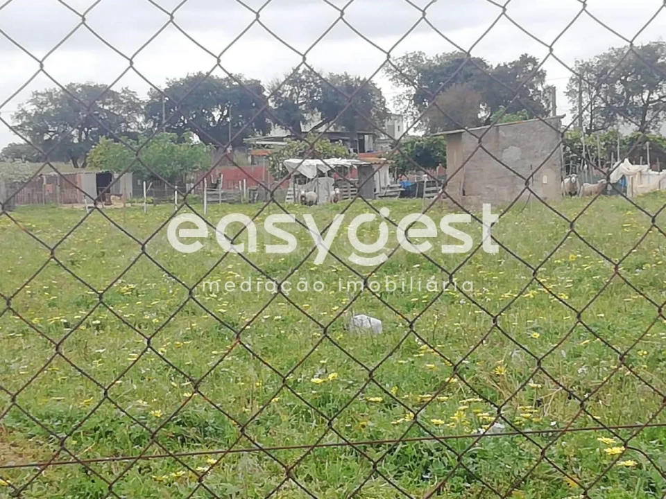 Terreno para Venda em Figueira dos Cavaleiros Foto 1