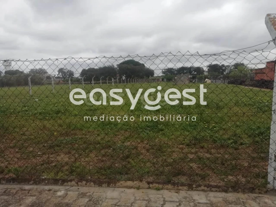 Terreno para Venda em Figueira dos Cavaleiros Foto 6