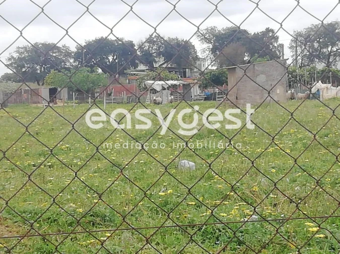 Terreno para Venda em Figueira dos Cavaleiros