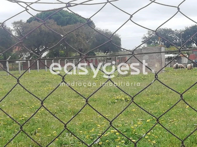 Terreno para Venda em Figueira dos Cavaleiros Foto 2