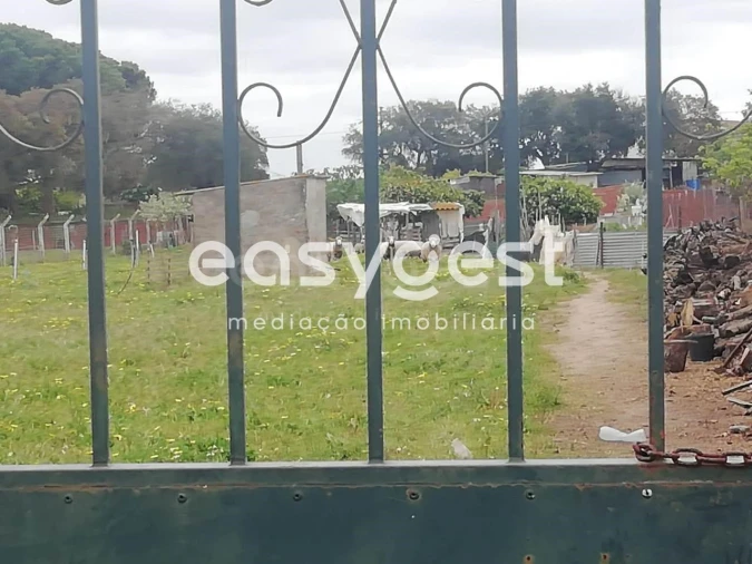 Terreno para Venda em Figueira dos Cavaleiros Foto 4