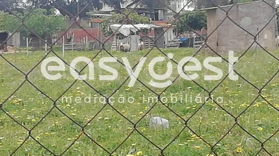 Terreno para Venda em Figueira dos Cavaleiros