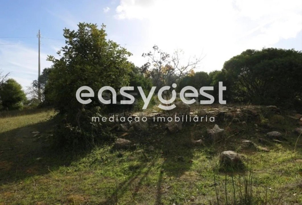 Terreno Agricola ou Rústico para Venda em Pego Foto 2