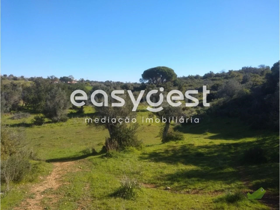 Terreno Agricola ou Rústico para Venda em Pego Foto 5