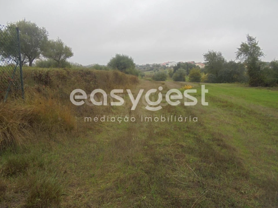 Terreno Agricola ou Rústico para Venda em São João Baptista e Santa Maria dos Olivais Foto 3