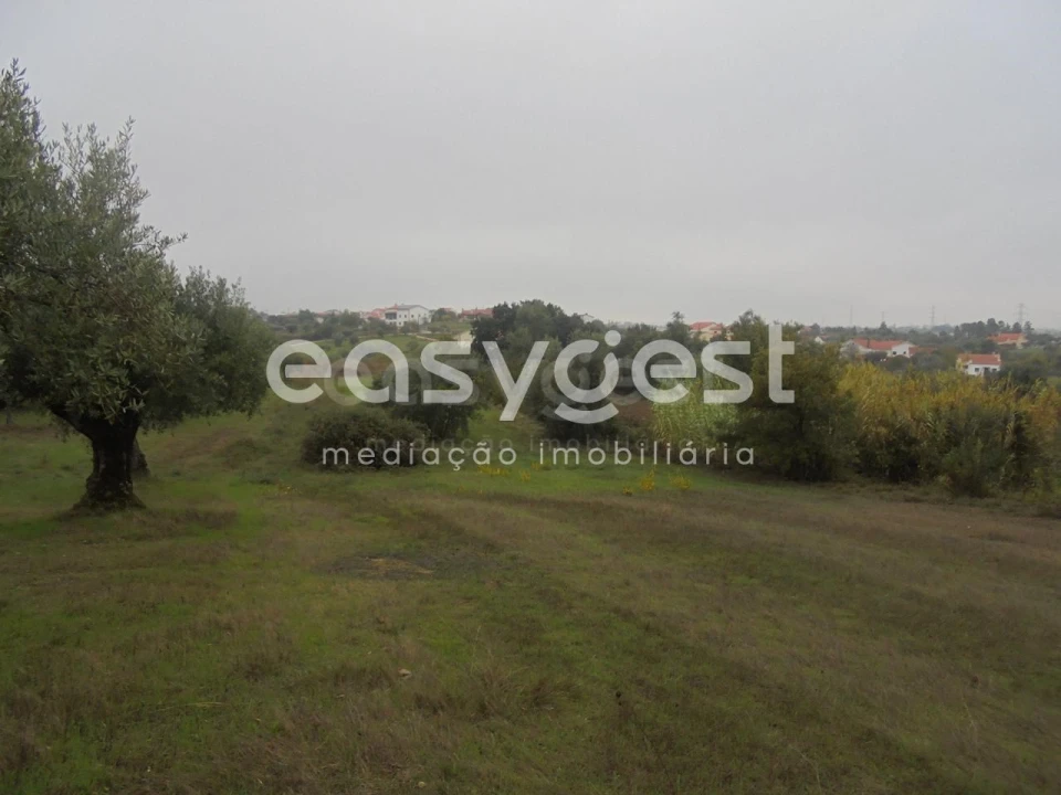 Terreno Agricola ou Rústico para Venda em São João Baptista e Santa Maria dos Olivais Foto 5