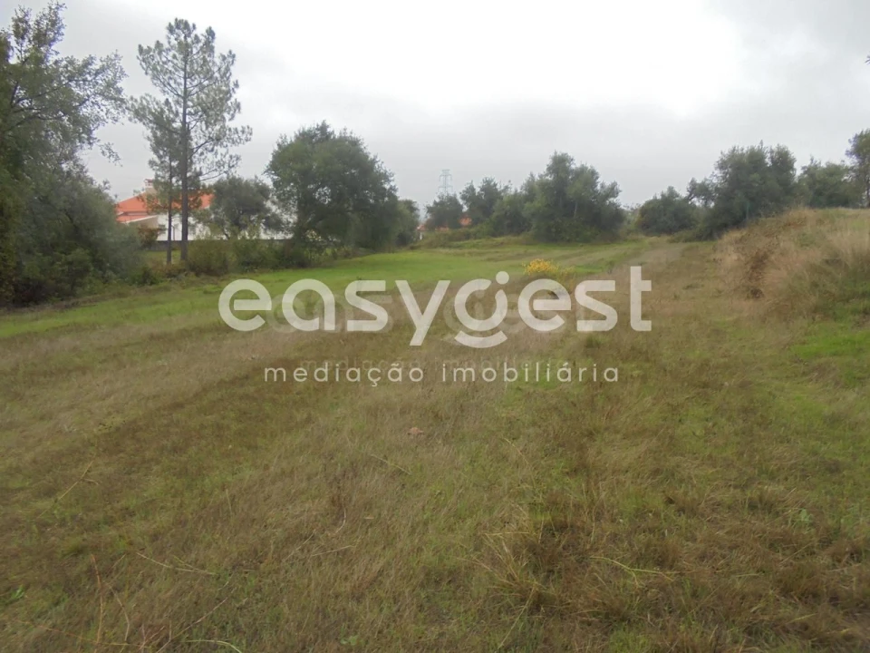 Terreno Agricola ou Rústico para Venda em São João Baptista e Santa Maria dos Olivais Foto 6