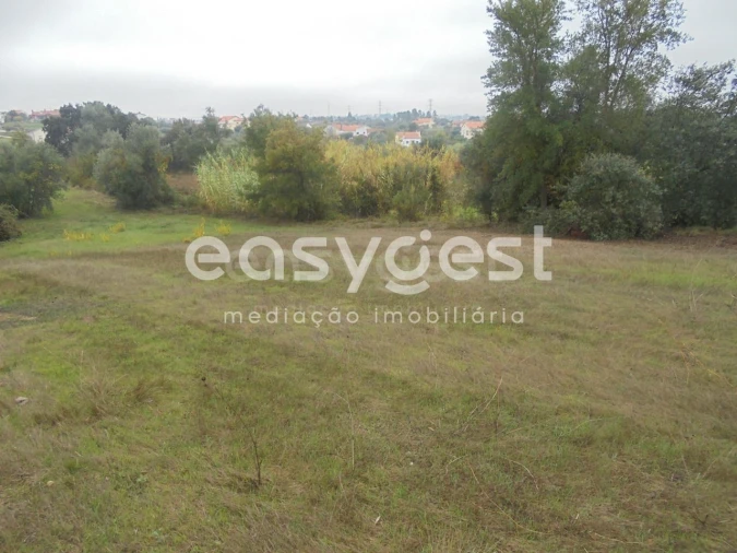 Terreno Agricola ou Rústico para Venda em São João Baptista e Santa Maria dos Olivais Foto 1