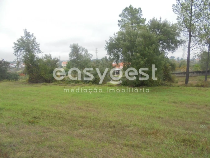 Terreno Agricola ou Rústico para Venda em São João Baptista e Santa Maria dos Olivais Foto 2