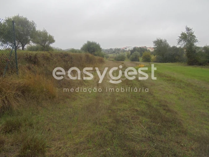 Terreno Agricola ou Rústico para Venda em São João Baptista e Santa Maria dos Olivais Foto 3