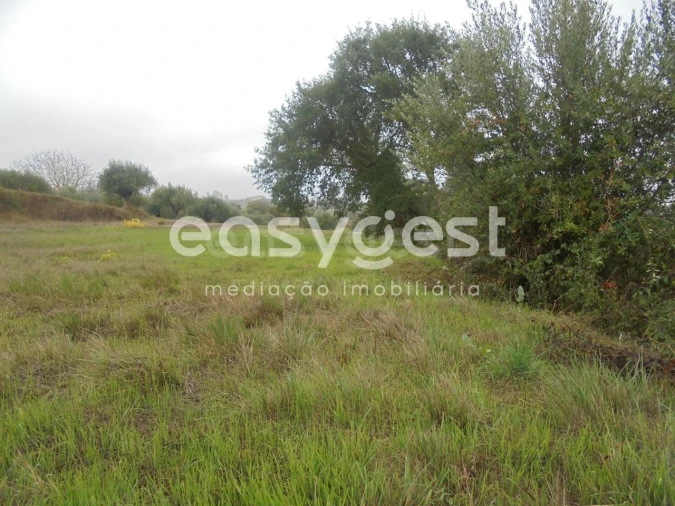 Terreno Agricola ou Rústico para Venda em São João Baptista e Santa Maria dos Olivais Foto 4