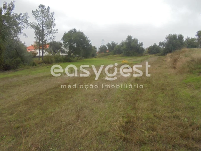 Terreno Agricola ou Rústico para Venda em São João Baptista e Santa Maria dos Olivais Foto 6