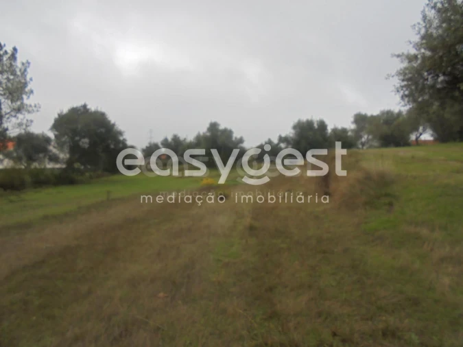 Terreno Agricola ou Rústico para Venda em São João Baptista e Santa Maria dos Olivais Foto 7