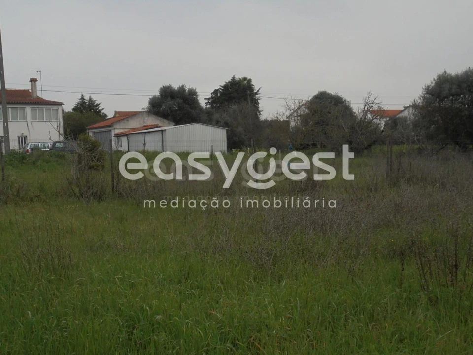 Terreno para Venda em São João Baptista e Santa Maria dos Olivais Foto 2