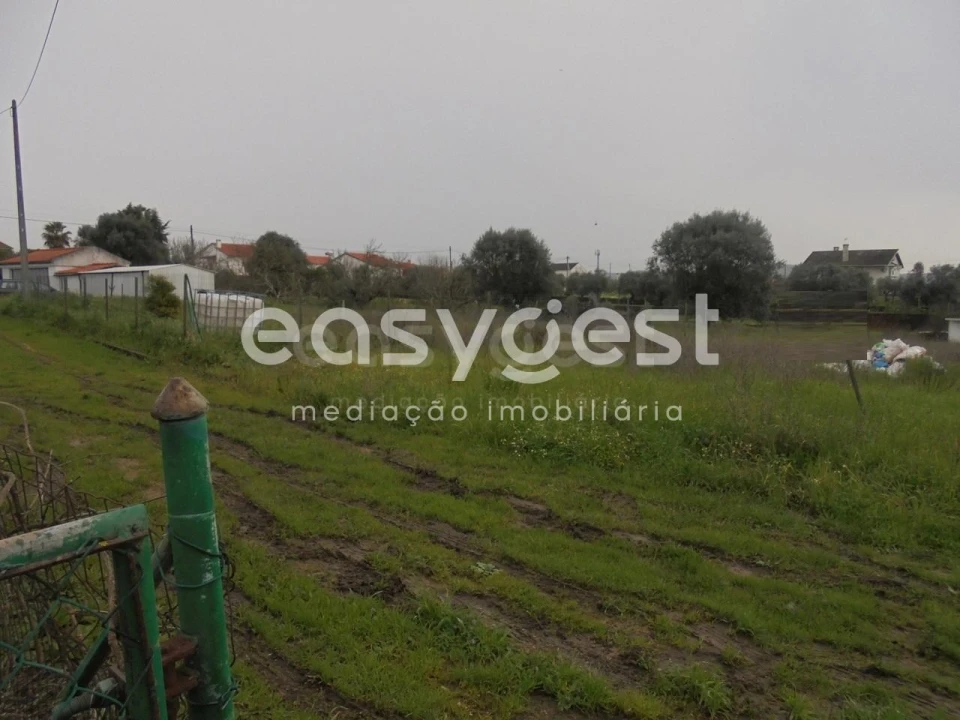 Terreno para Venda em São João Baptista e Santa Maria dos Olivais Foto 10