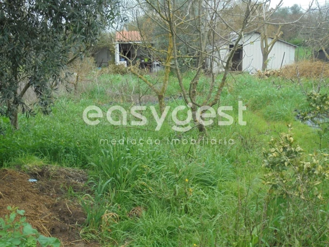 Terreno para Venda em São João Baptista e Santa Maria dos Olivais Foto 3