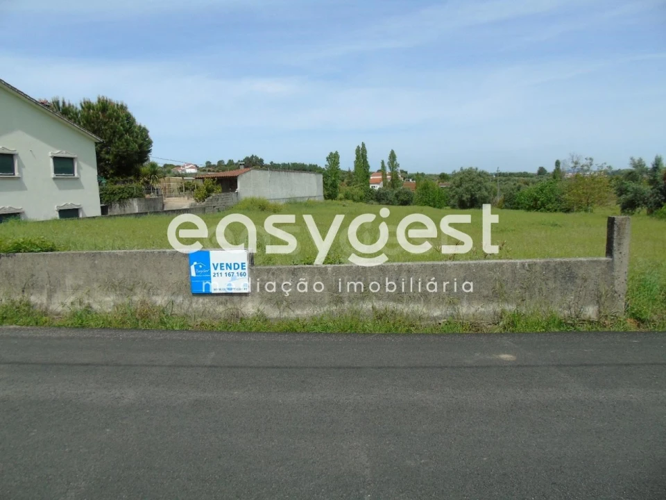 Terreno para Venda em São João Baptista e Santa Maria dos Olivais Foto 5