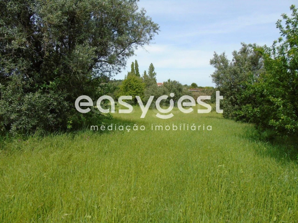 Terreno para Venda em São João Baptista e Santa Maria dos Olivais Foto 9