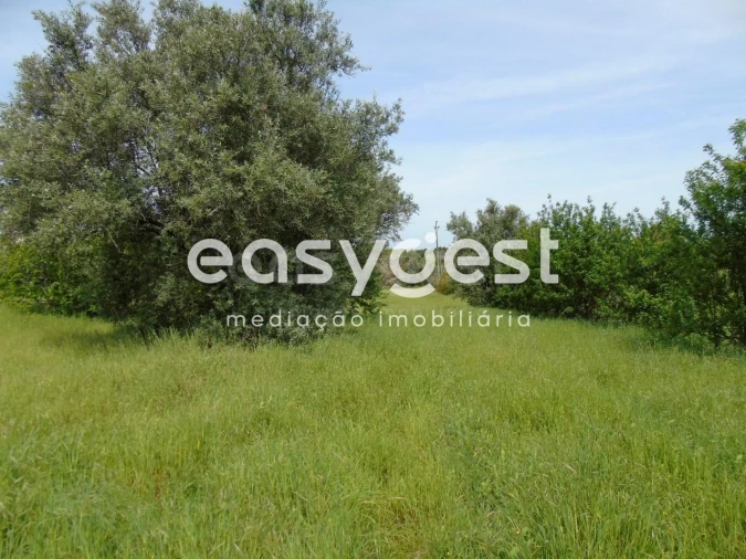 Terreno para Venda em São João Baptista e Santa Maria dos Olivais Foto 8