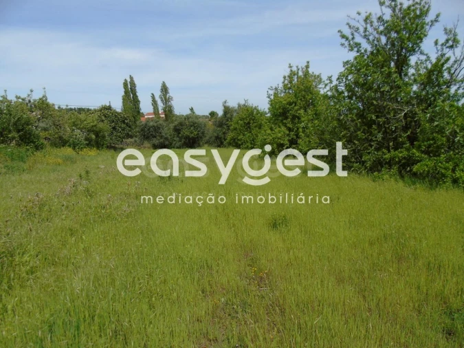 Terreno para Venda em São João Baptista e Santa Maria dos Olivais Foto 14