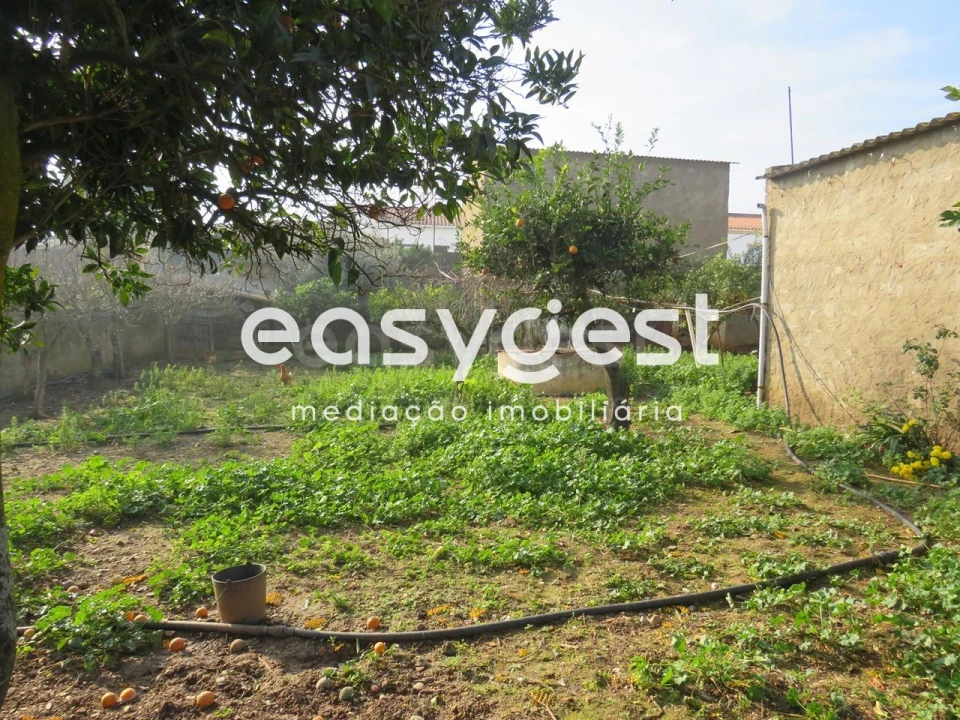 Armazém para Venda em São João de Negrilhos Foto 14