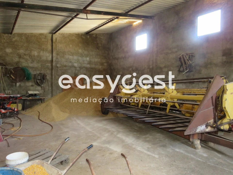 Armazém para Venda em São João de Negrilhos Foto 16