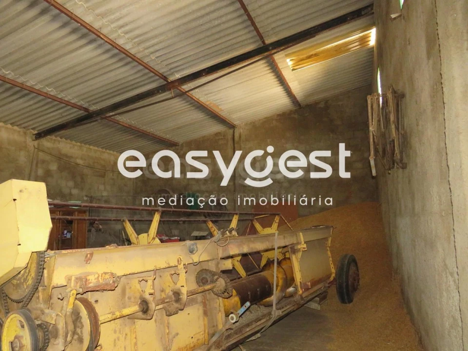 Armazém para Venda em São João de Negrilhos Foto 17