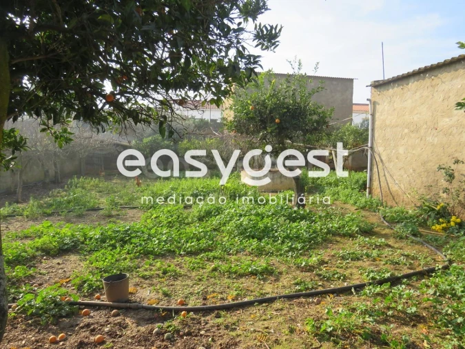 Armazém para Venda em São João de Negrilhos Foto 14